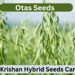 Otas Seeds