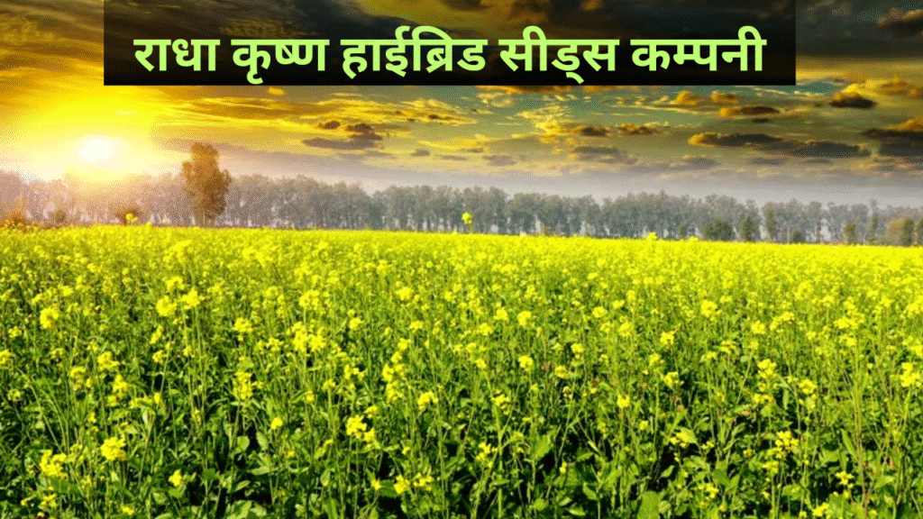 Radha Krishan Seeds Mustard