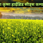 Radha Krishan Seeds Mustard