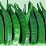भिंडी Okra